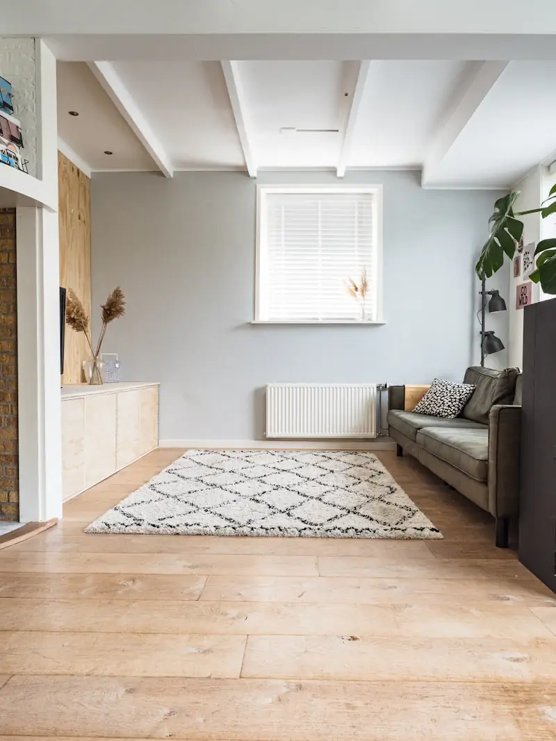 Bright living room with a patterned rug on a light floor
