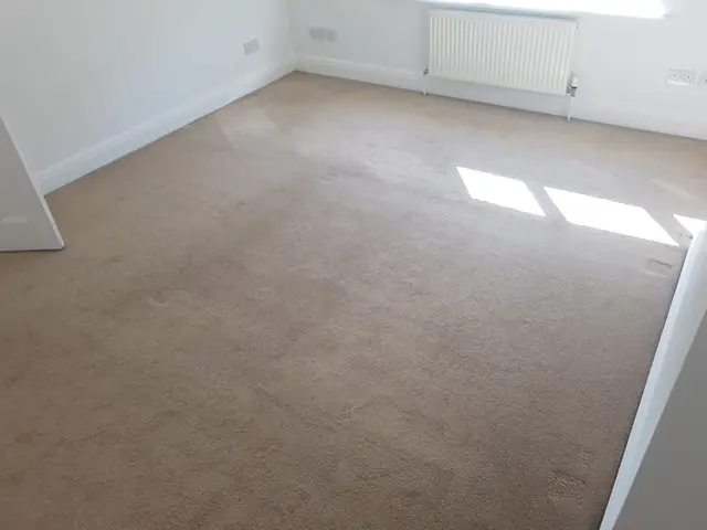 Natural beige carpet, sunny bedroom